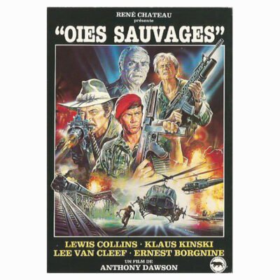 Carte Postale - Oies Sauvages