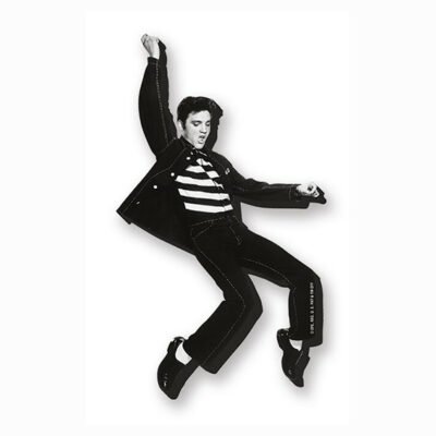 Elvis Jailhouse Funky Chunky Magnet