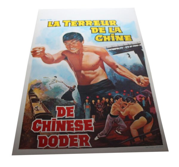 Affiche - La terreur de la chine +-35x55 cm