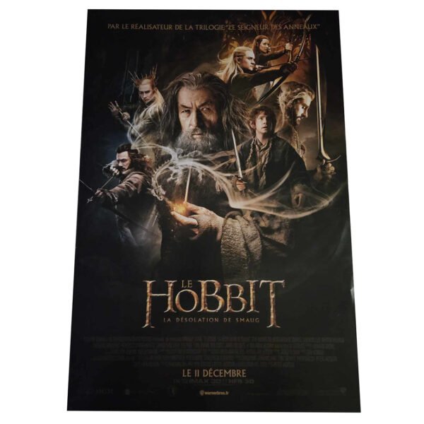 Affiche - Le Hobbit La désolation de Smaug +- 40x60 cm