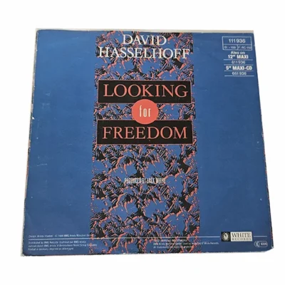 45T – David Hasselhoff looking for freedom 004