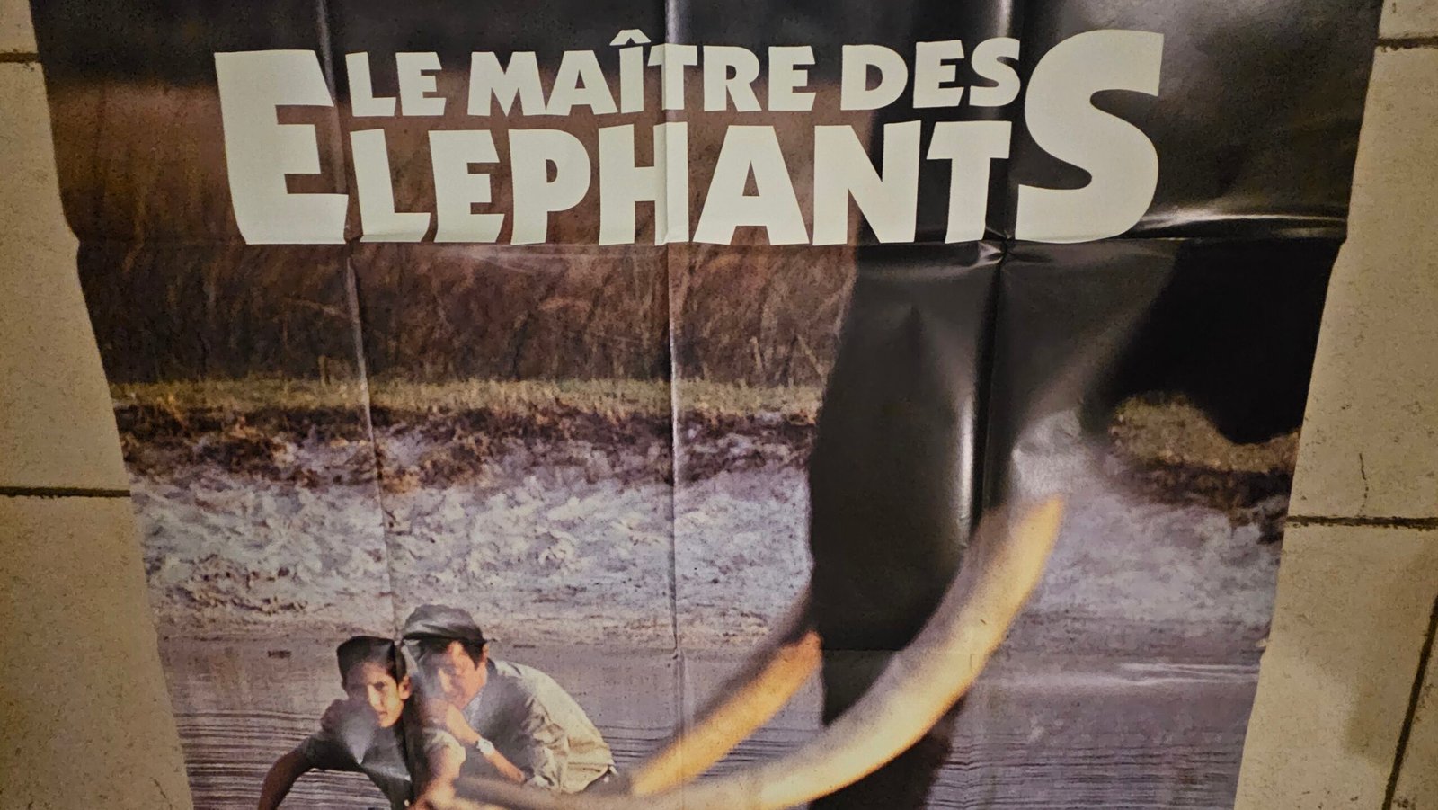 Affiche ORIGINALE 120x160cm Le maitre des éléphants – Image 3
