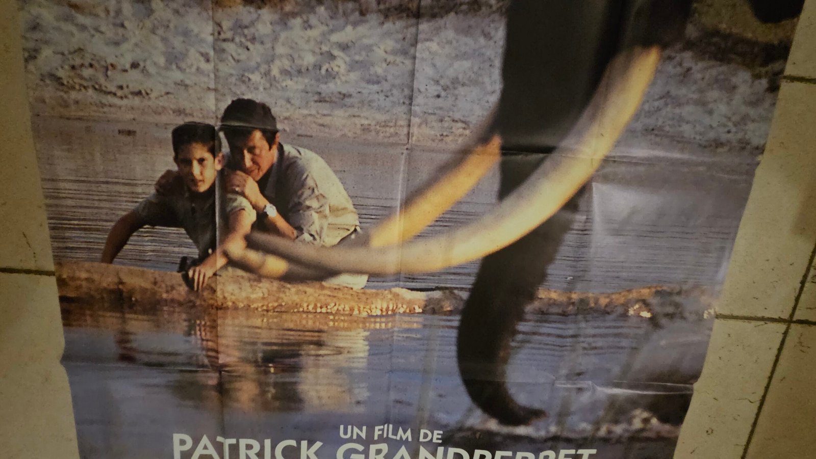 Affiche ORIGINALE 120x160cm Le maitre des éléphants – Image 4