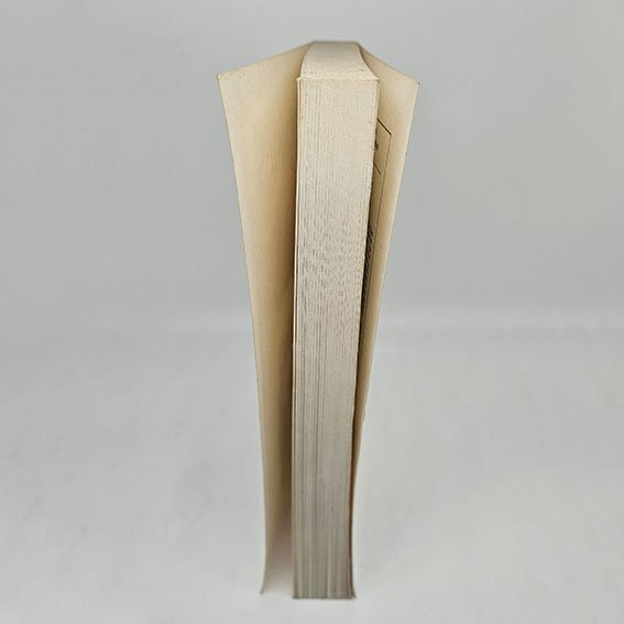Livre - Les femmes de Dallas – Image 2